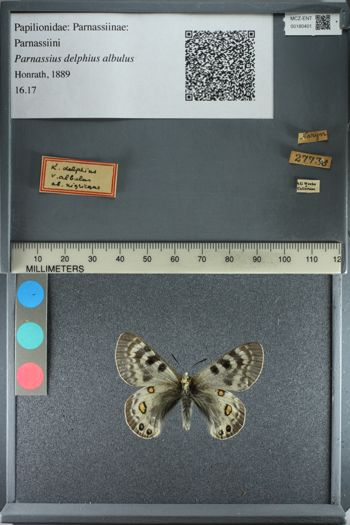 Media type: image;   Entomology 180401